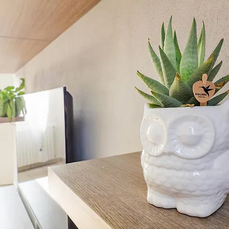 Apartamento Riva Realestate - Escape