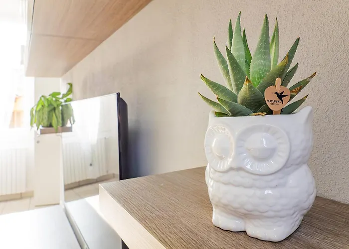 Apartman Riva Realestate - Escape